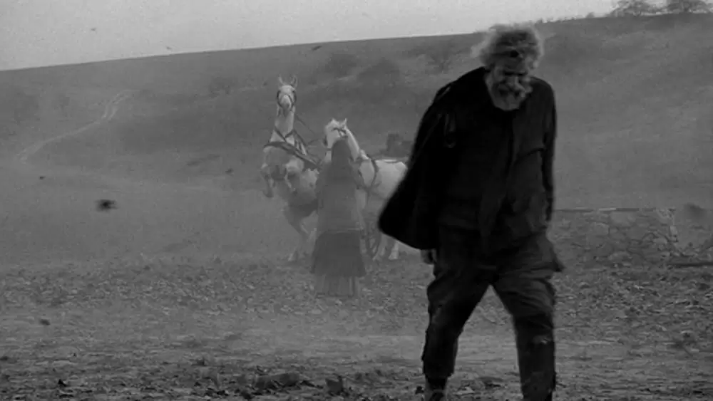 「ニーチェの馬」エリカ・ボーク & ヤーノシュ・デルジの画像