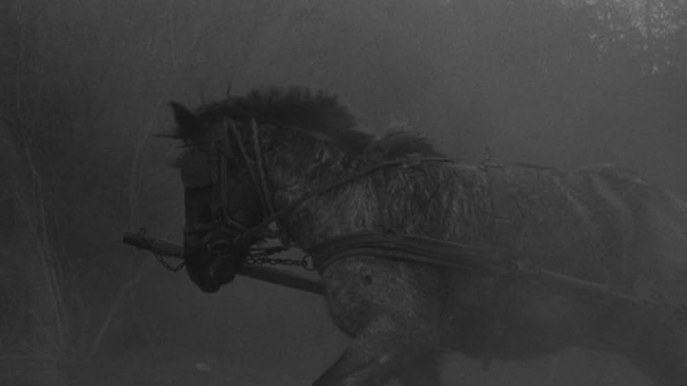 「ニーチェの馬」の画像