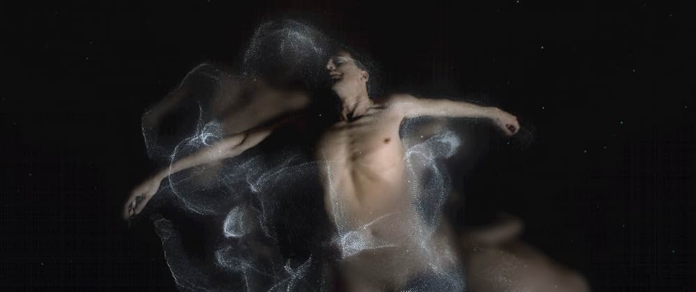 シンメトリーの画像