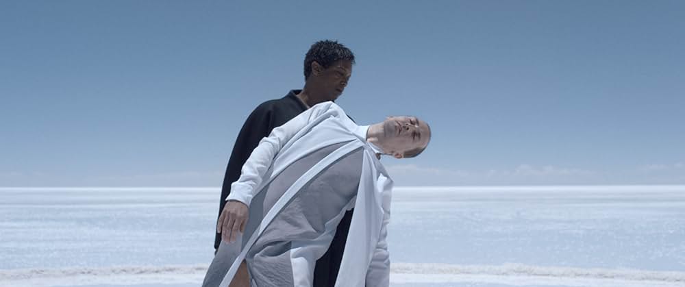 シンメトリーの画像