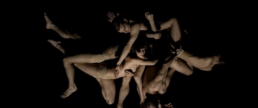 シンメトリーの画像