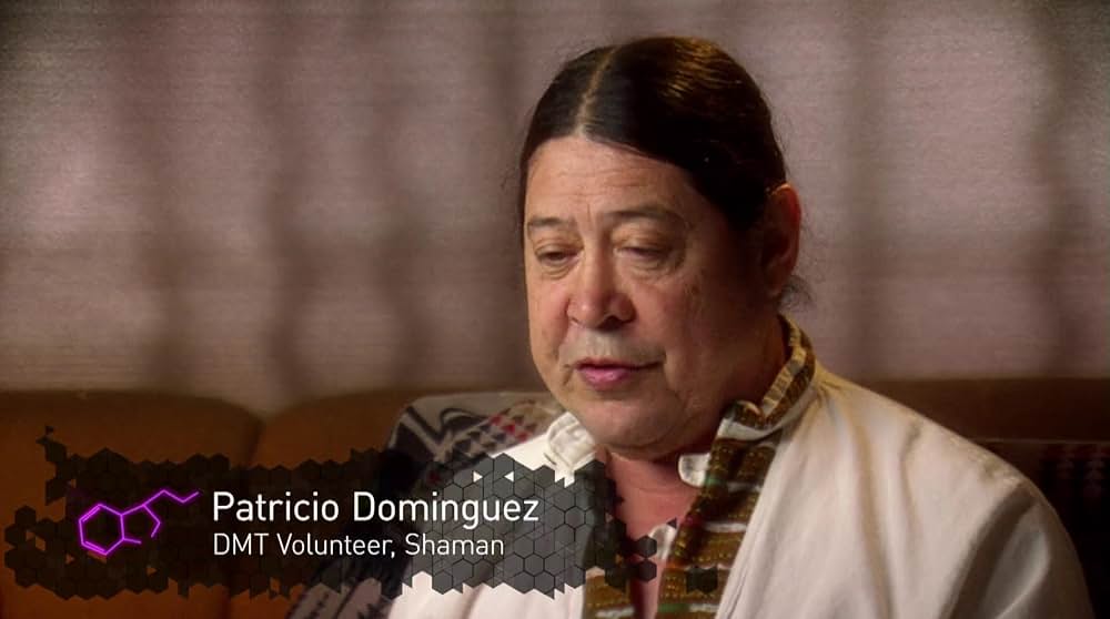 DMT：精神の分子の画像