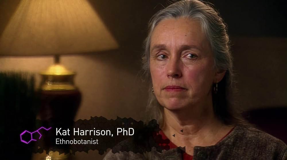 DMT：精神の分子の画像