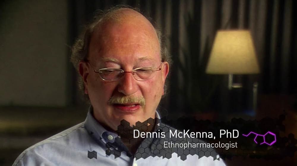 DMT：精神の分子の画像