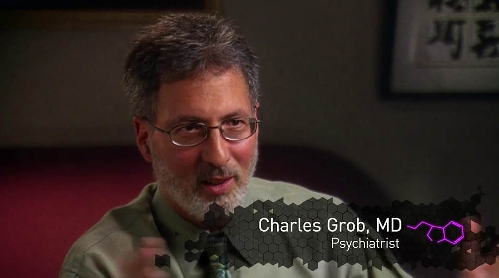 DMT：精神の分子の画像