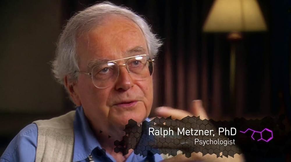 DMT：精神の分子の画像