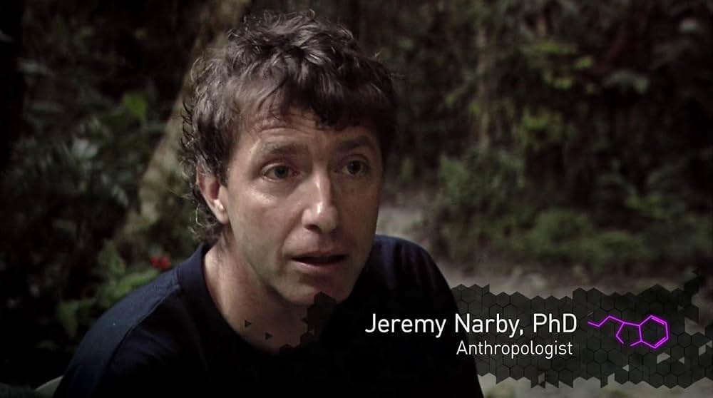 DMT：精神の分子の画像