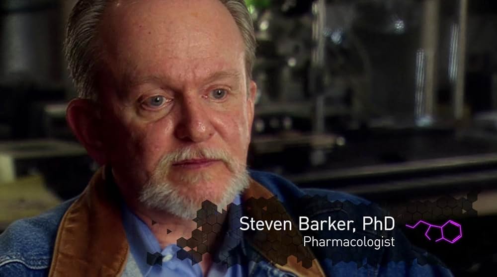 DMT：精神の分子の画像