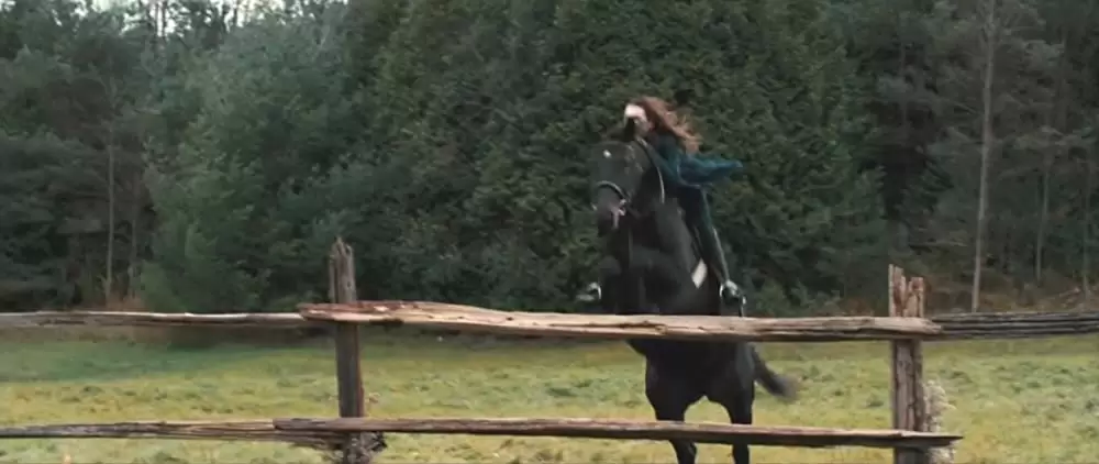 サバイバル・オブ・ザ・デッドの画像