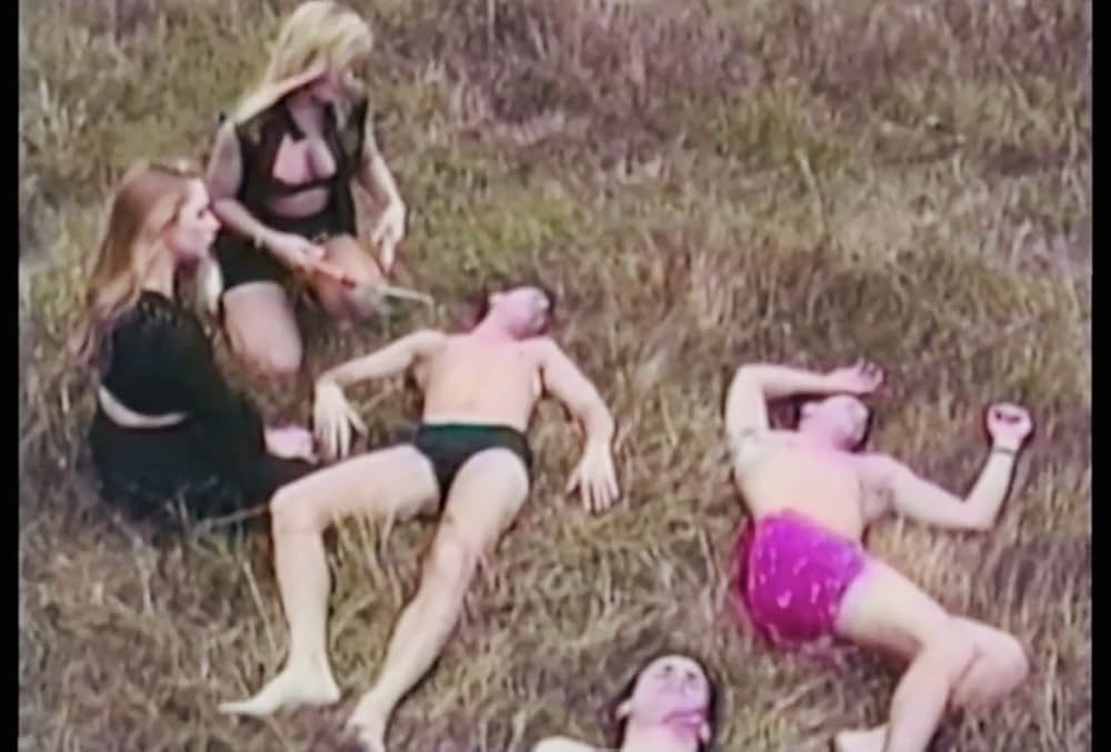 Psycho Sisters（原題）の画像