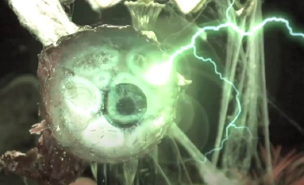 Killer Eye: Halloween Haunt（原題）の画像