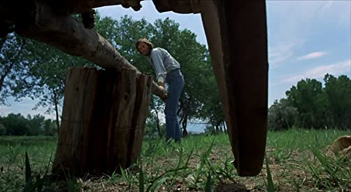 さすらいのカウボーイの画像