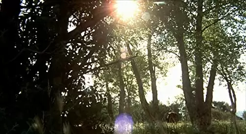 さすらいのカウボーイの画像