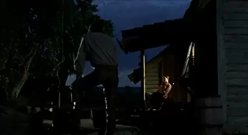 「さすらいのカウボーイ」ピーター・フォンダ & バーナ・ブルームの画像