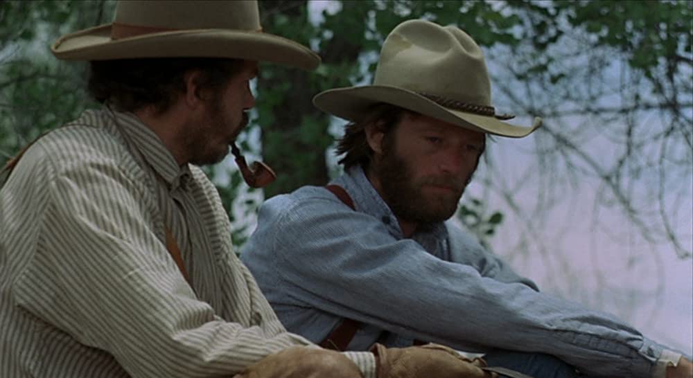 さすらいのカウボーイの画像