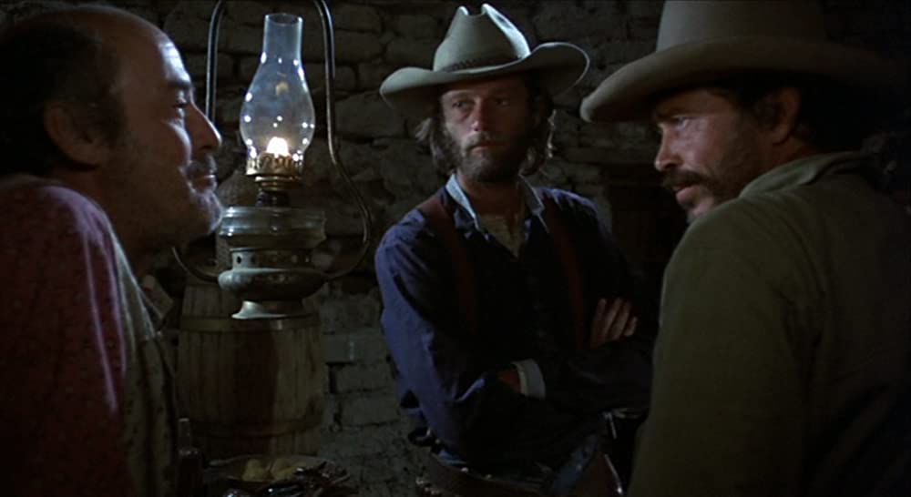 さすらいのカウボーイの画像