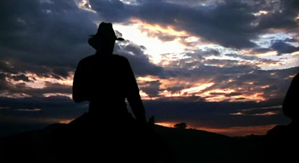 さすらいのカウボーイの画像