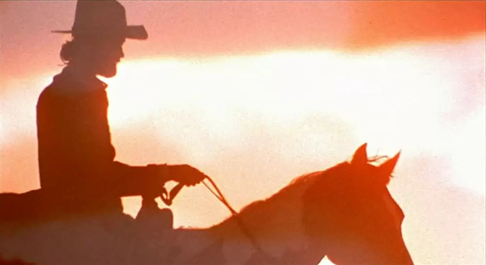 「さすらいのカウボーイ」ピーター・フォンダの画像