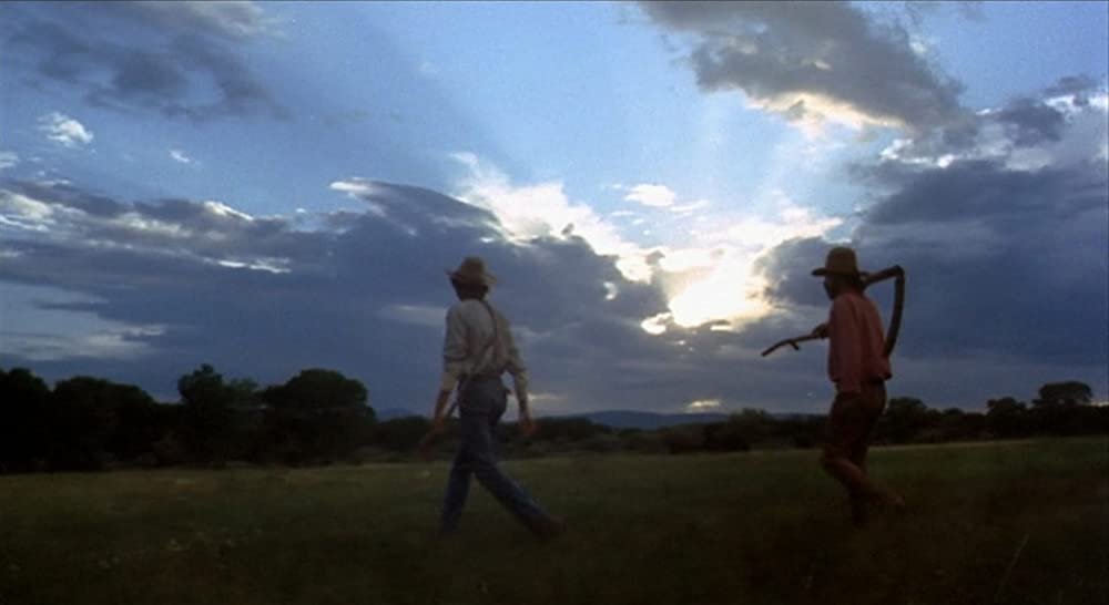 さすらいのカウボーイの画像