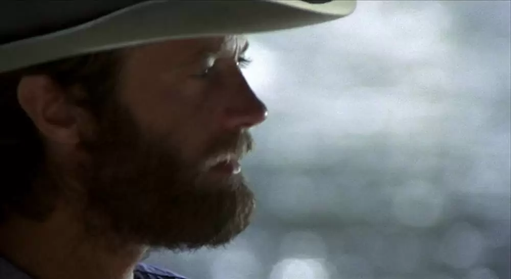 「さすらいのカウボーイ」ピーター・フォンダの画像