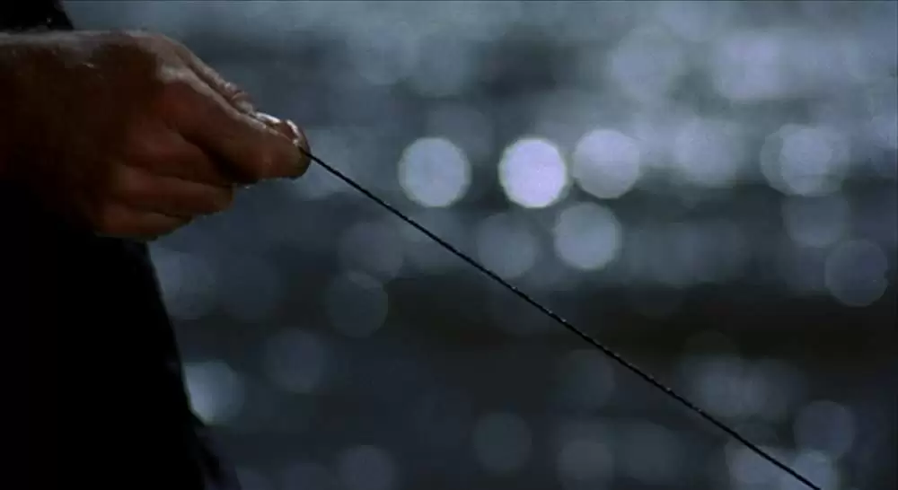 さすらいのカウボーイの画像