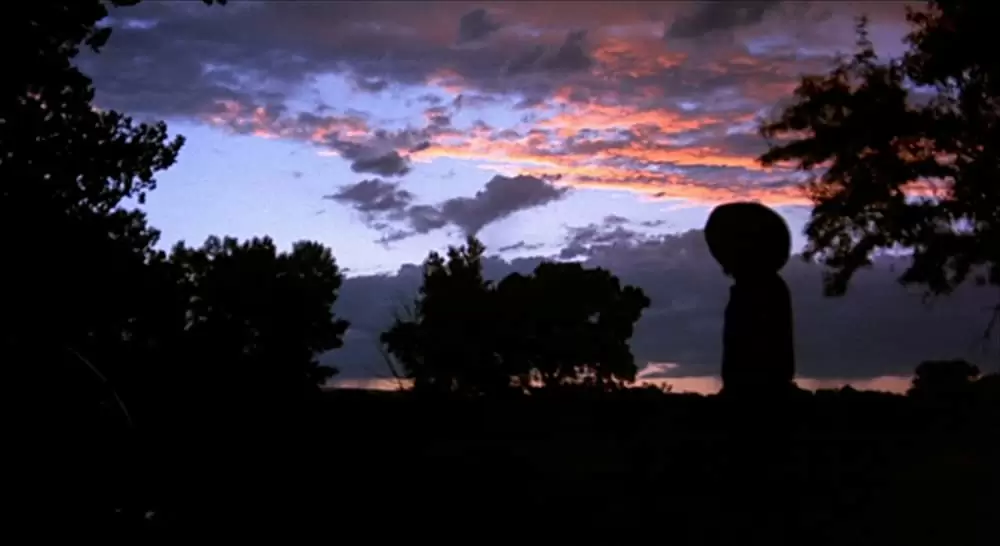 さすらいのカウボーイの画像