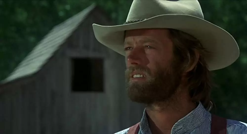 「さすらいのカウボーイ」ピーター・フォンダの画像