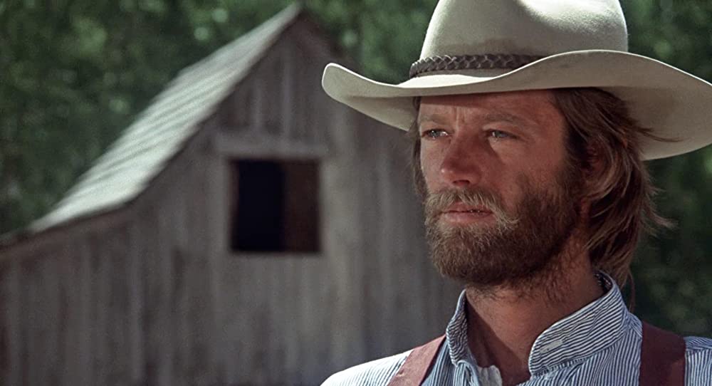 さすらいのカウボーイの画像