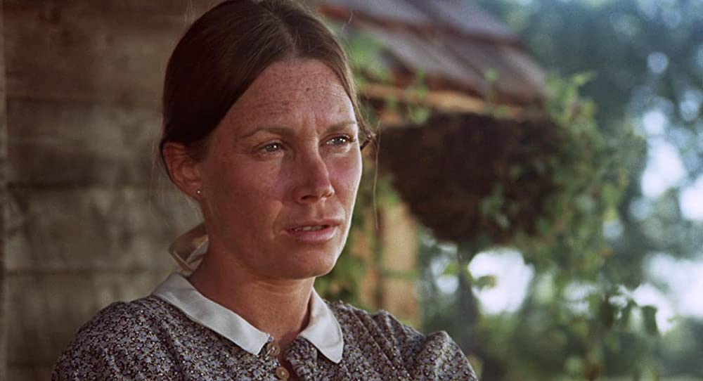 さすらいのカウボーイの画像