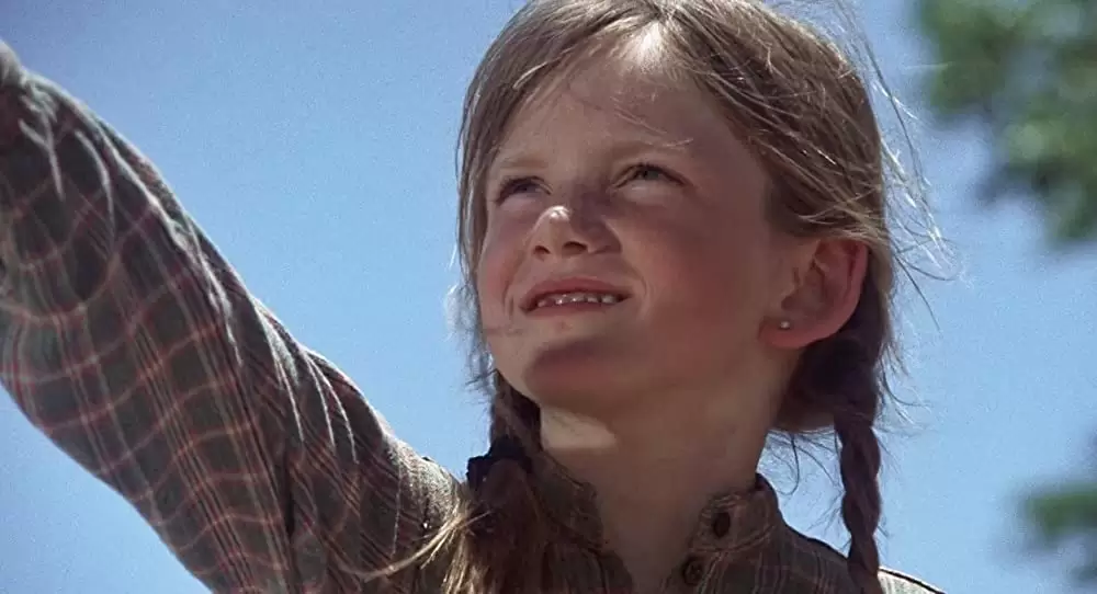 さすらいのカウボーイの画像