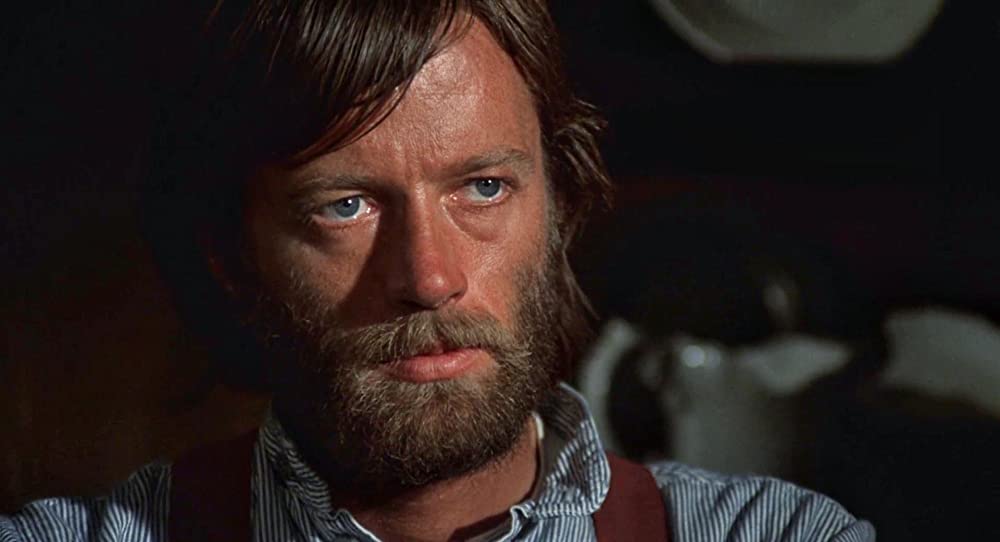 さすらいのカウボーイの画像