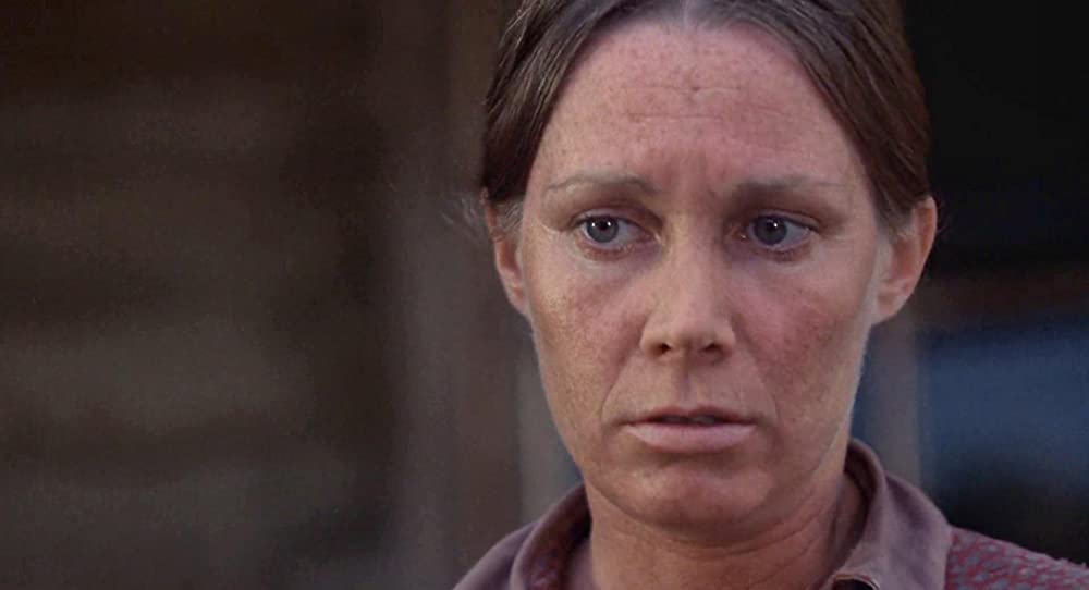 さすらいのカウボーイの画像