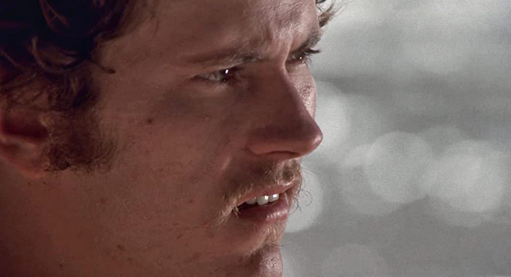 さすらいのカウボーイの画像