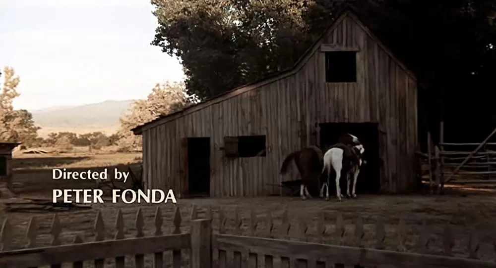 さすらいのカウボーイの画像