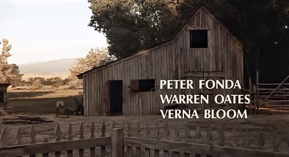 さすらいのカウボーイの画像