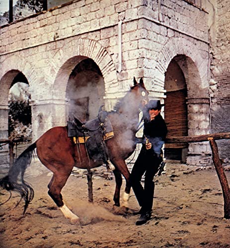 リンゴ・キッドの画像