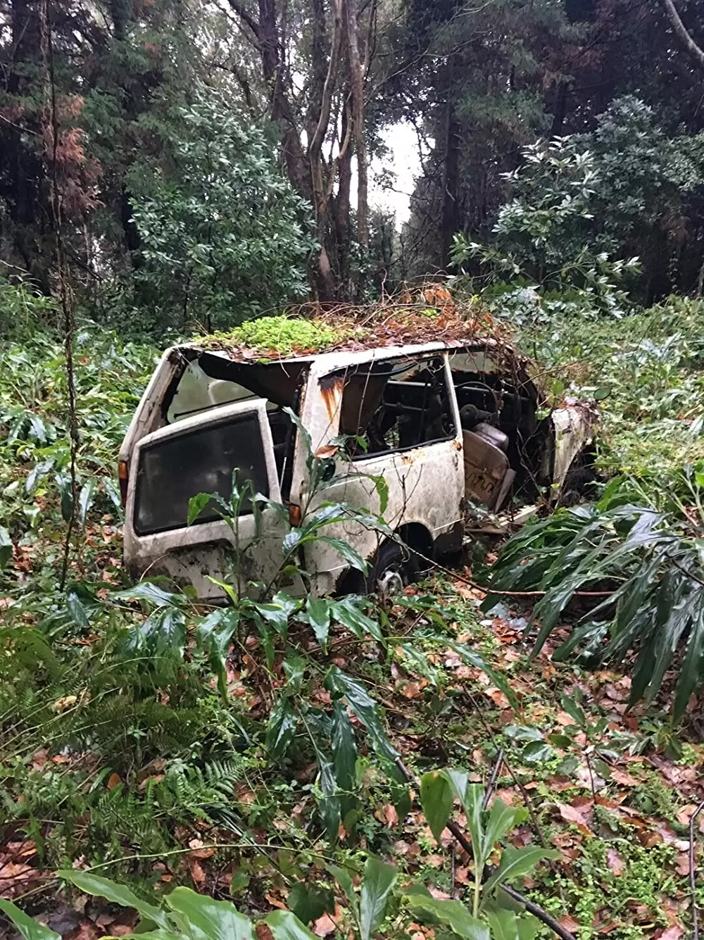 星守る犬の画像