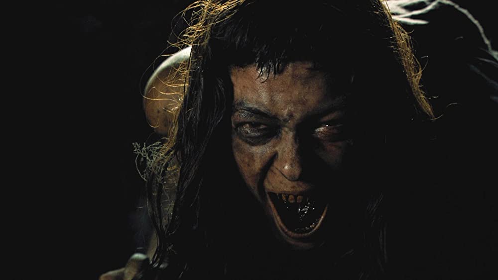 ザ・ウーマン 飼育された女の画像