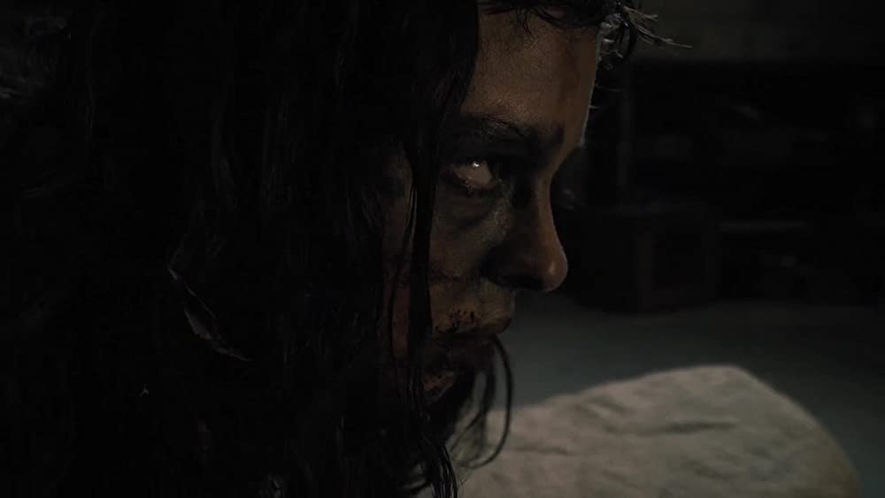 ザ・ウーマン 飼育された女の画像