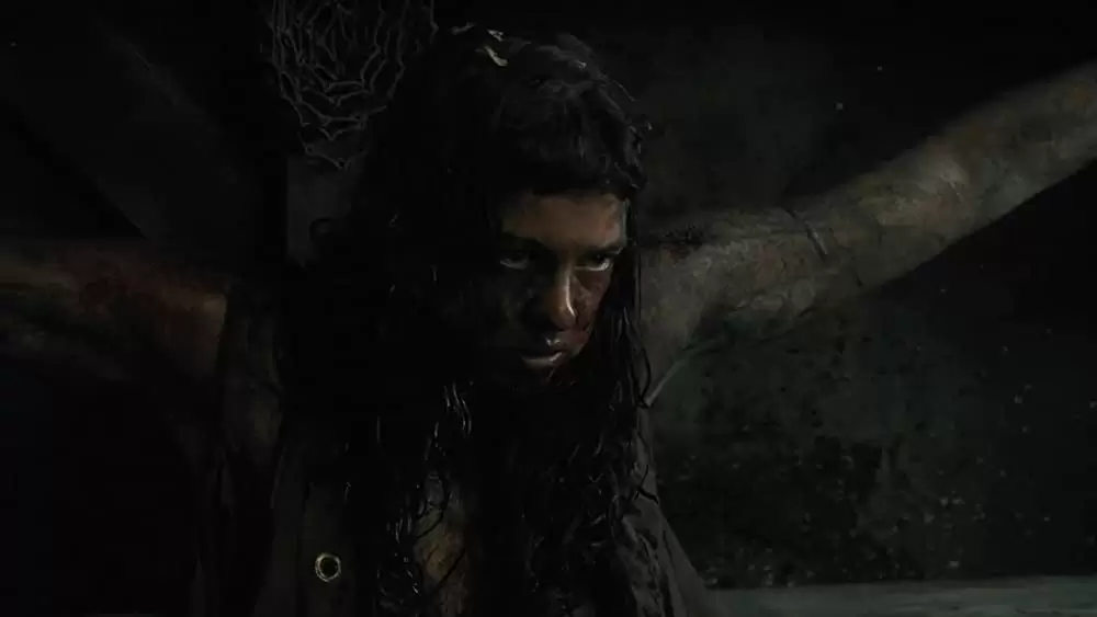 ザ・ウーマン 飼育された女の画像