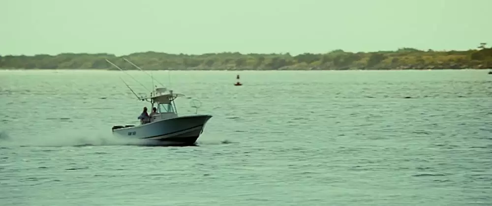 メイジーの瞳の画像