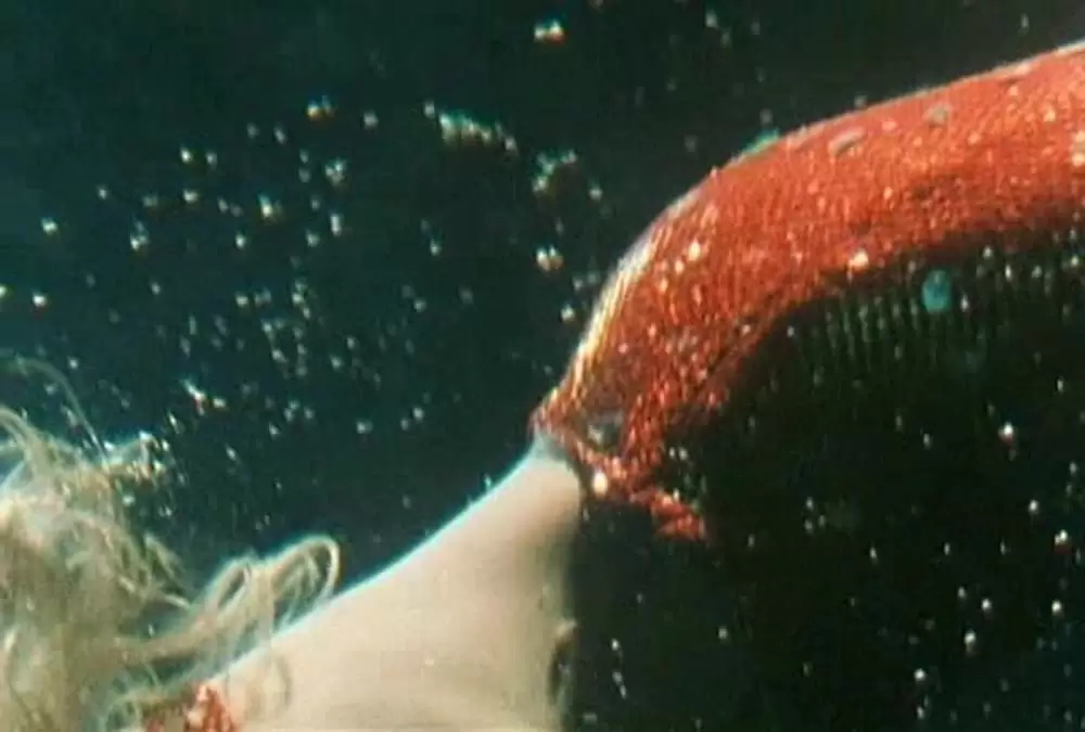 ふたりの人魚の画像