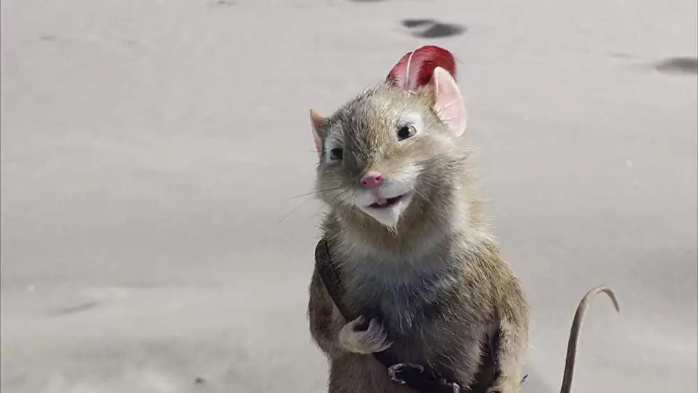 ナルニア国物語／第3章:アスラン王と魔法の島の画像