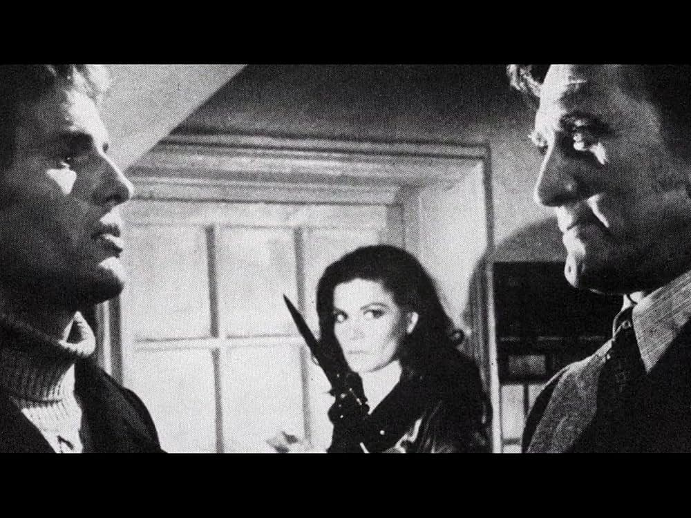 ユーロクライム！ 70年代イタリア犯罪アクション映画の世界の画像