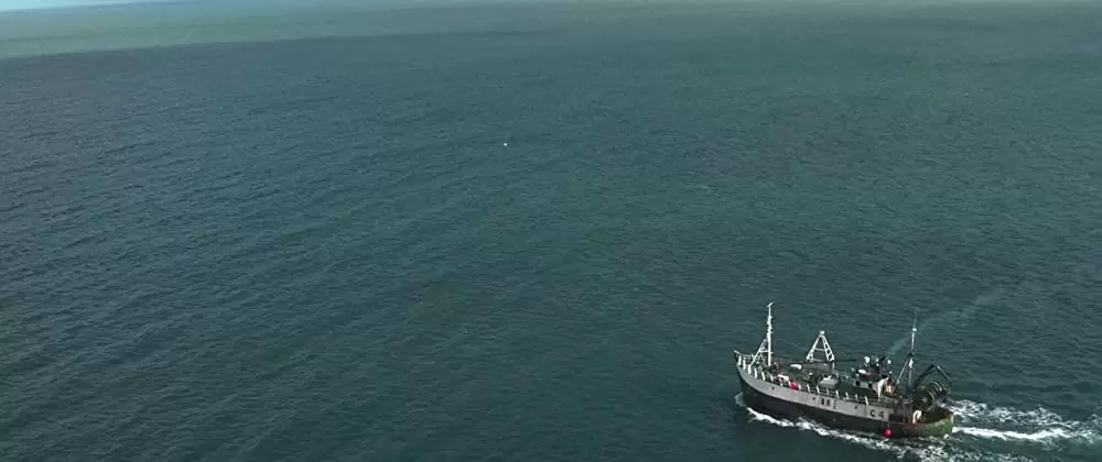 シー・フィーバー 深海の怪物の画像