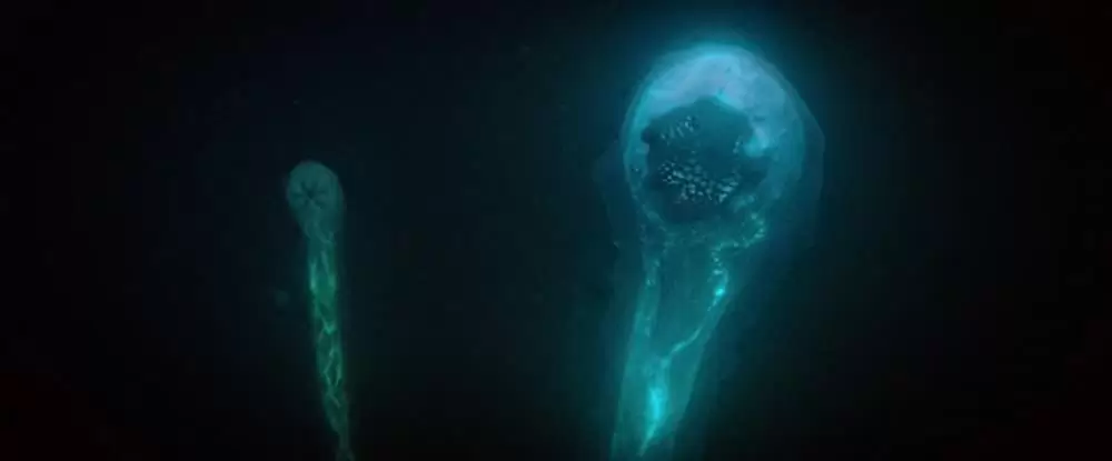 シー・フィーバー 深海の怪物の画像