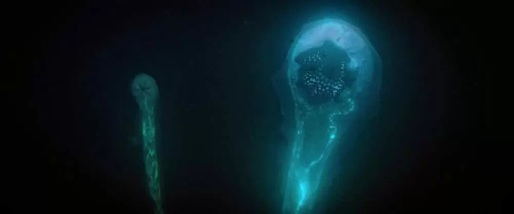 シー・フィーバー 深海の怪物の画像