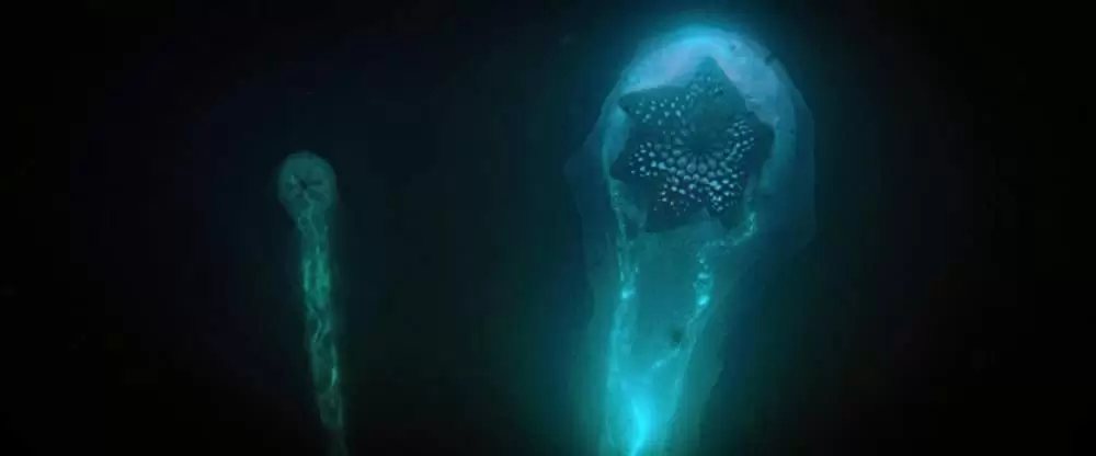 シー・フィーバー 深海の怪物の画像