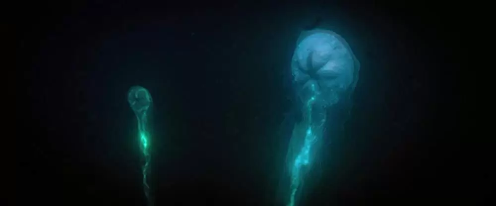 シー・フィーバー 深海の怪物の画像