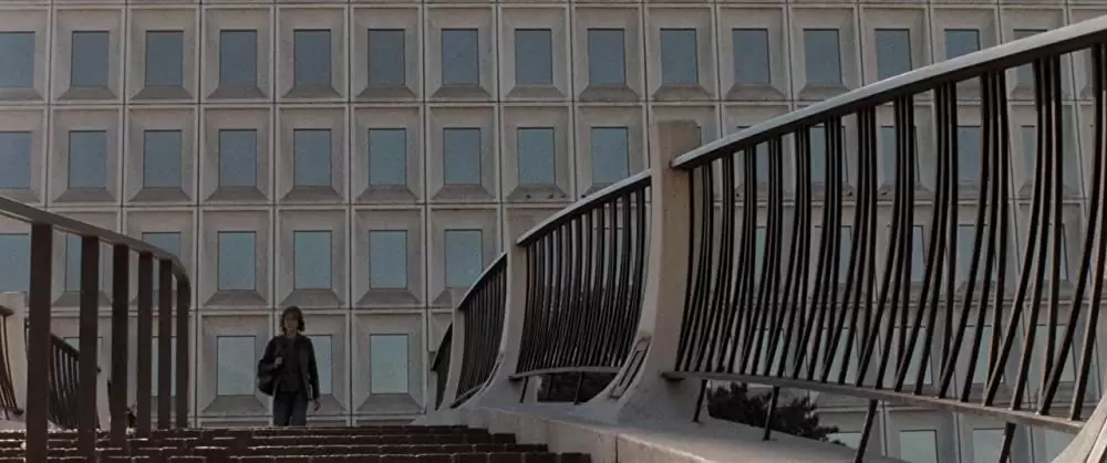 ストレイ・ドッグの画像